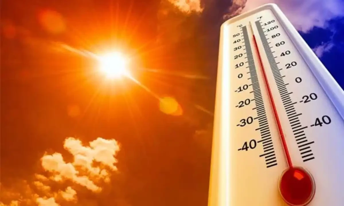 فائل فوٹیج فائل فوٹیج