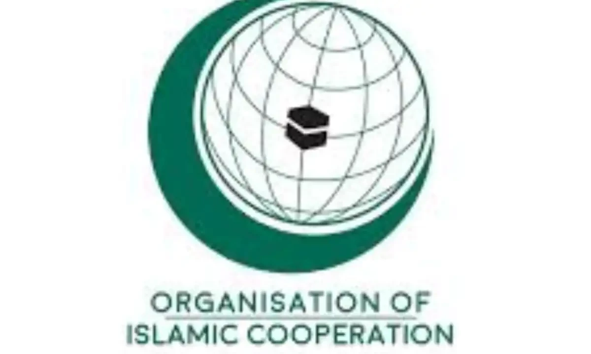 فائل فوٹیج فائل فوٹیج