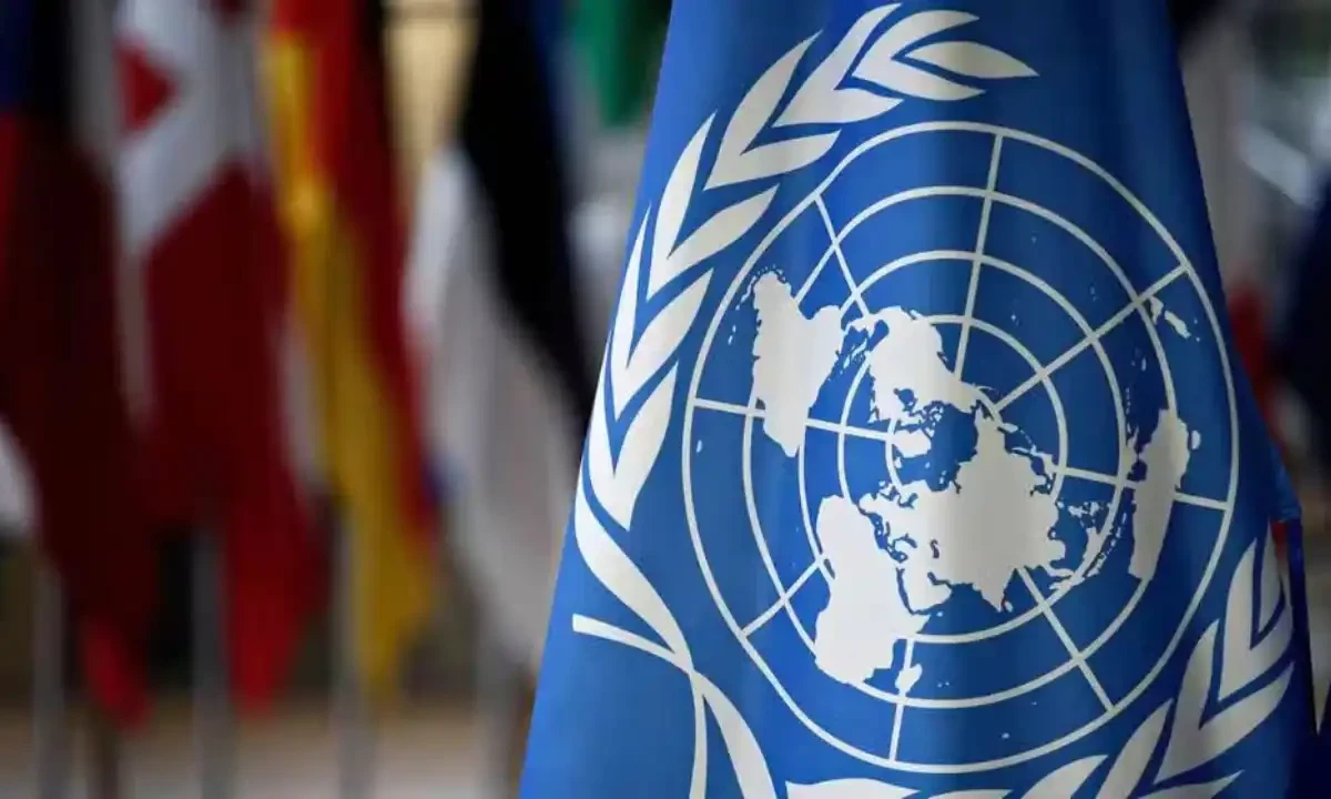 سیاہ فام کو غلام بنانے پر اقوام متحدہ میں انسانی حقوق کی جج جیل بھیج دی گئی