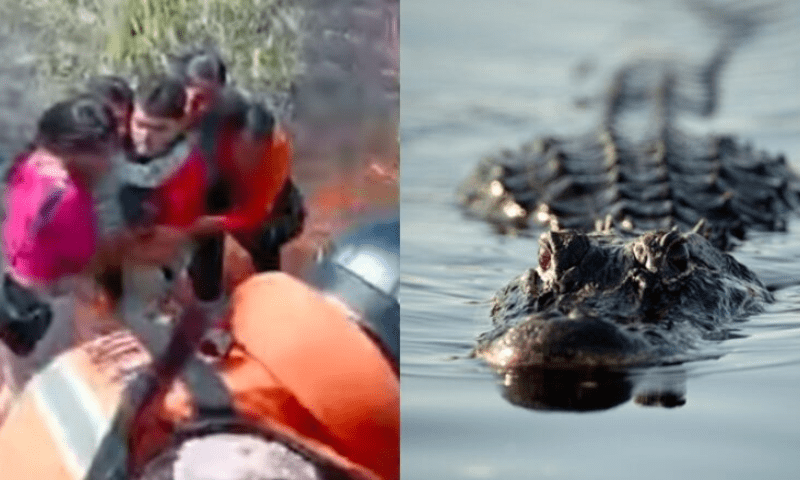 جنگلات میں طیارے کی ہنگامی لینڈنگ، مسافر بچوں سمیت مگرمچھوں کے بیچ پھنس گئے