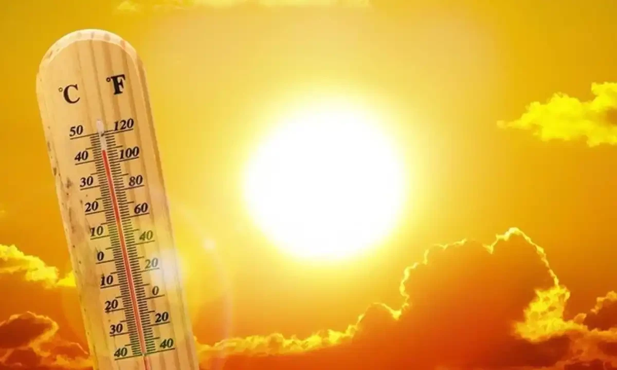 فائل فوٹیج فائل فوٹیج