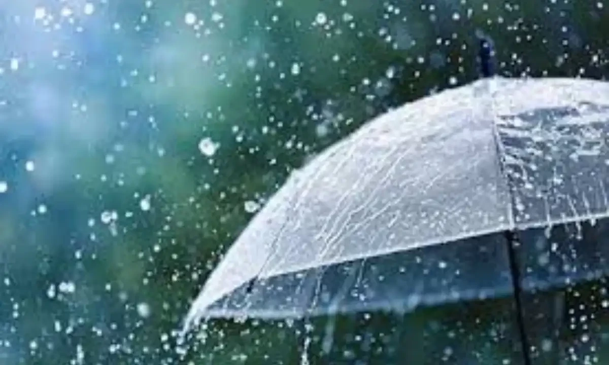 فائل فوٹیج
