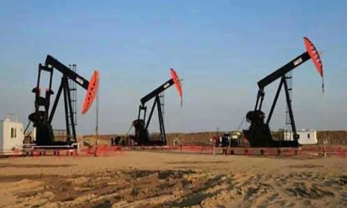 فائل فوٹیج