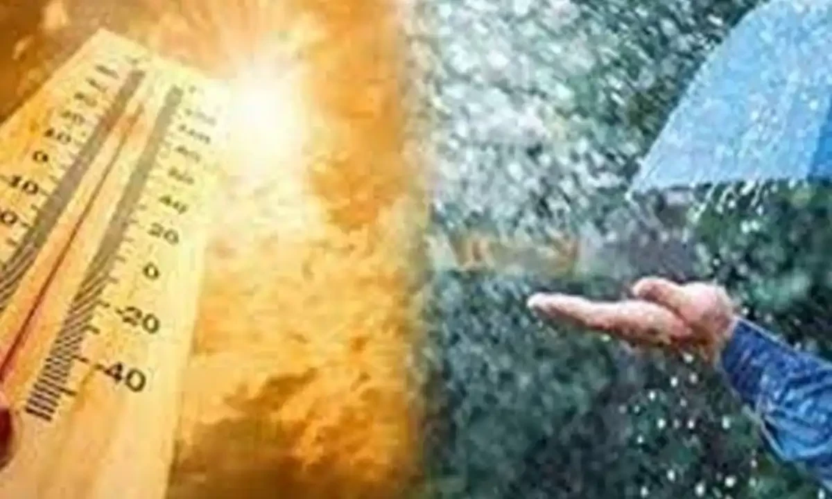 فائل فوٹیج فائل فوٹیج