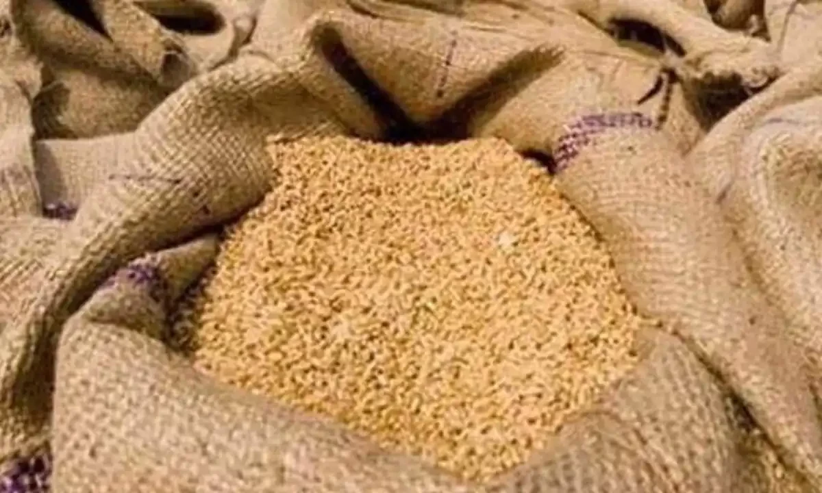 فائل فوٹیج فائل فوٹیج