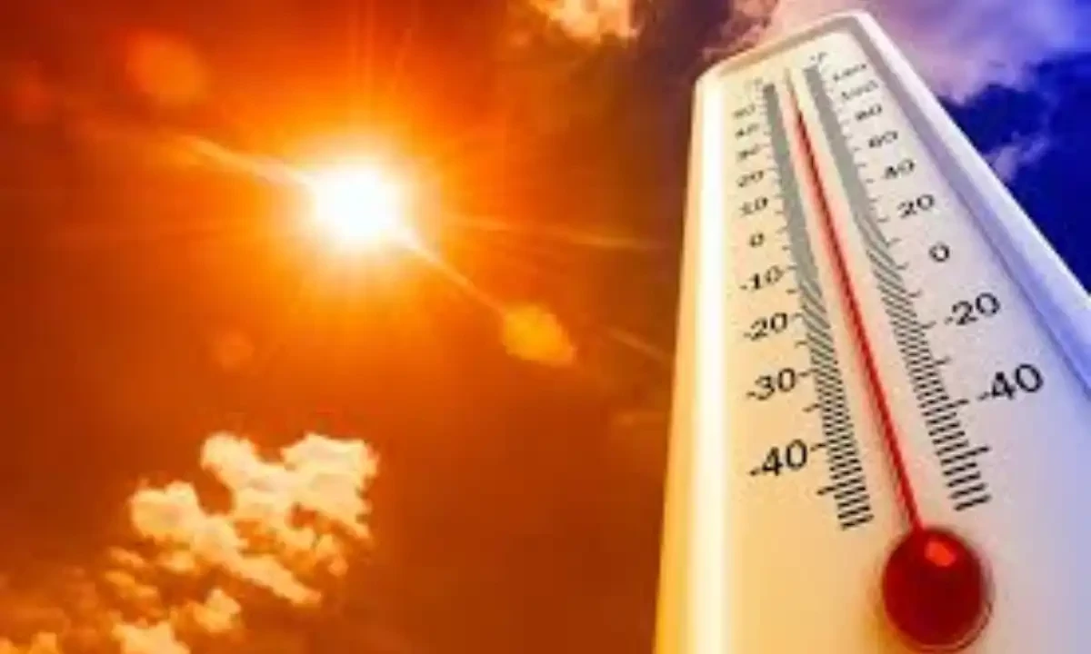 فائل فوٹیج فائل فوٹیج