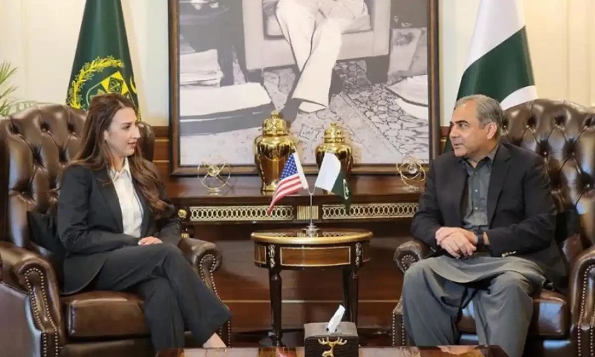 Federal Interior Minister Mohsin Naqvi meets the United States’ Acting Ambassador to Pakistan, Natalie Baker. Photo via APP Federal Interior Minister Mohsin Naqvi meets the United States’ Acting Ambassador to Pakistan, Natalie Baker. Photo via APP
