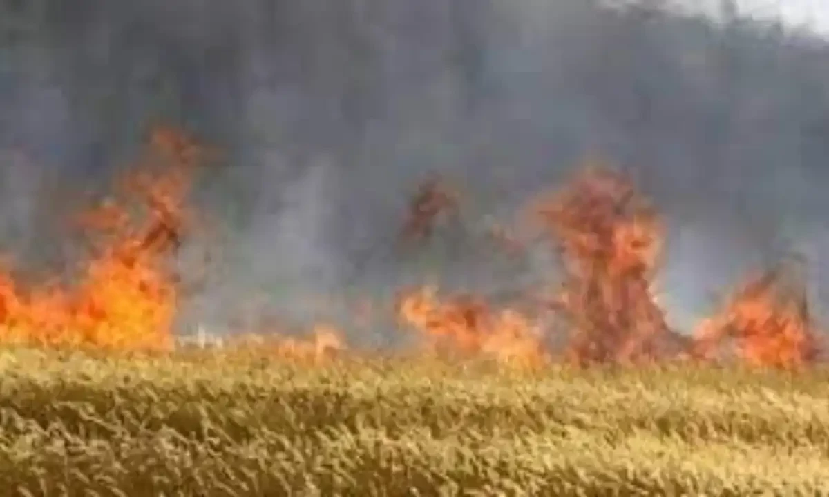 فائل فوٹیج فائل فوٹیج