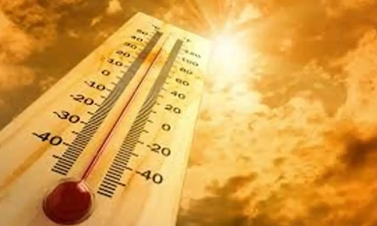 فائل فوٹیج فائل فوٹیج