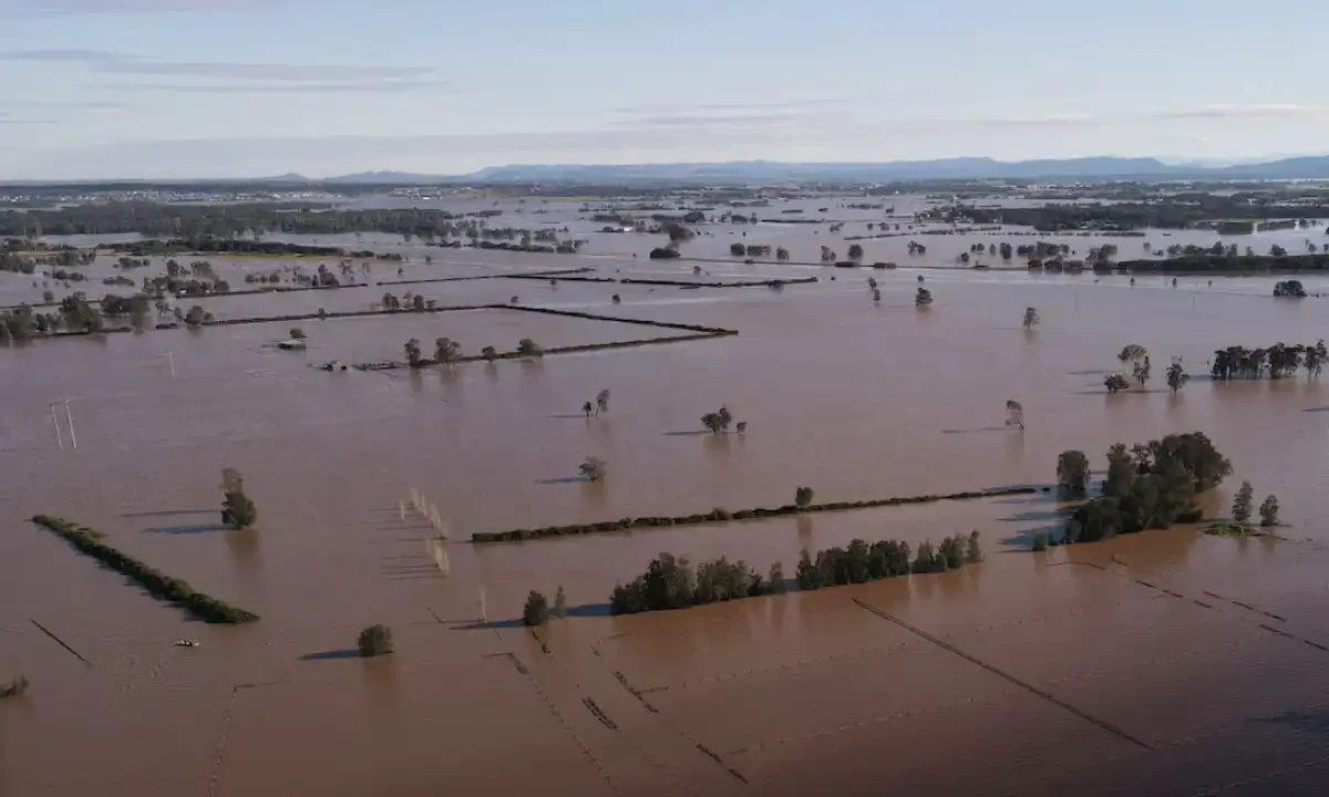 A drone view shows a flooded area near the Hunter River in Heatherbrae, Australia, May 24, 2025. REUTERS A drone view shows a flooded area near the Hunter River in Heatherbrae, Australia, May 24, 2025. REUTERS