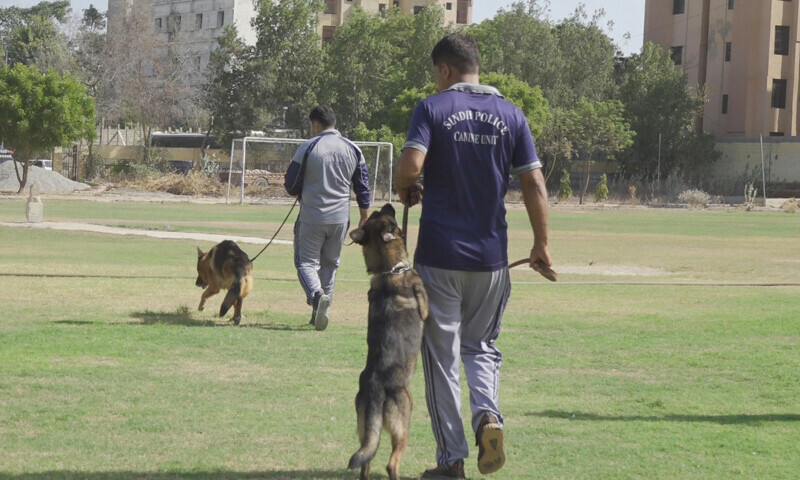 فائل فوٹیج فائل فوٹیج