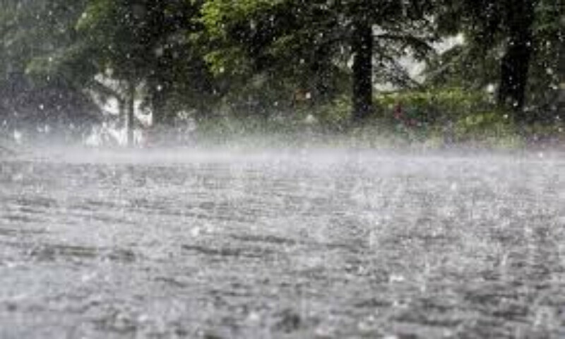 فائل فوٹیج فائل فوٹیج