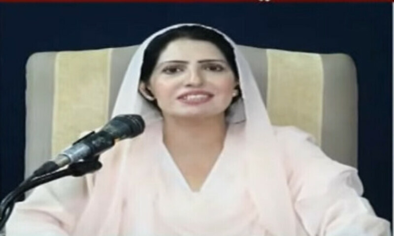 حکومت بتا رہی ہے کہ وہ بیساکھیوں پر آئے، اقتدار میں ہیں پر اختیار نہیں ہے، عالیہ حمزہ