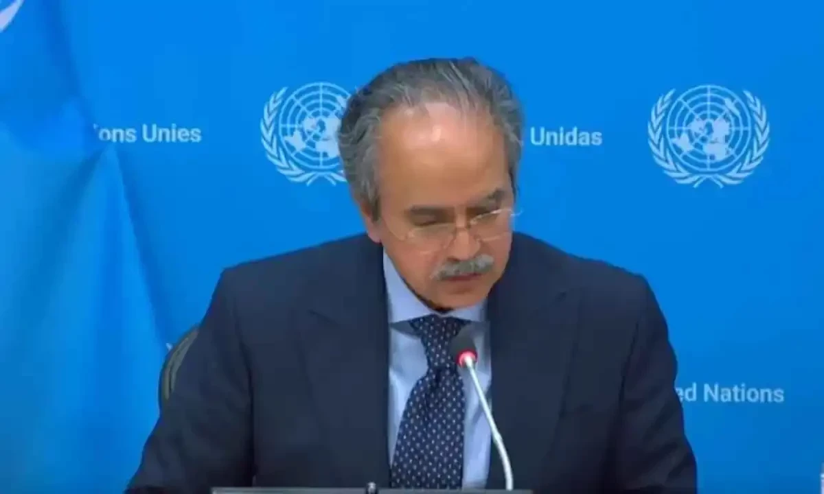 Asim Iftikhar. Screengrab via United Nations website Asim Iftikhar. Screengrab via United Nations website