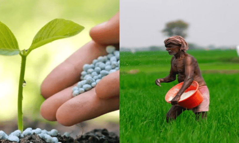 چین نے بھارت کو خصوصی کھاد کی ترسیل بند کردی، مودی سرکار کی مشکل بڑھ گئی