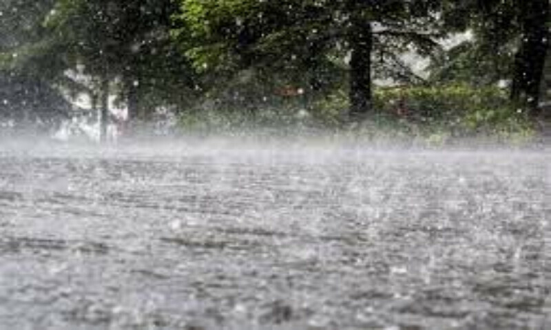 فائل فوٹیج فائل فوٹیج