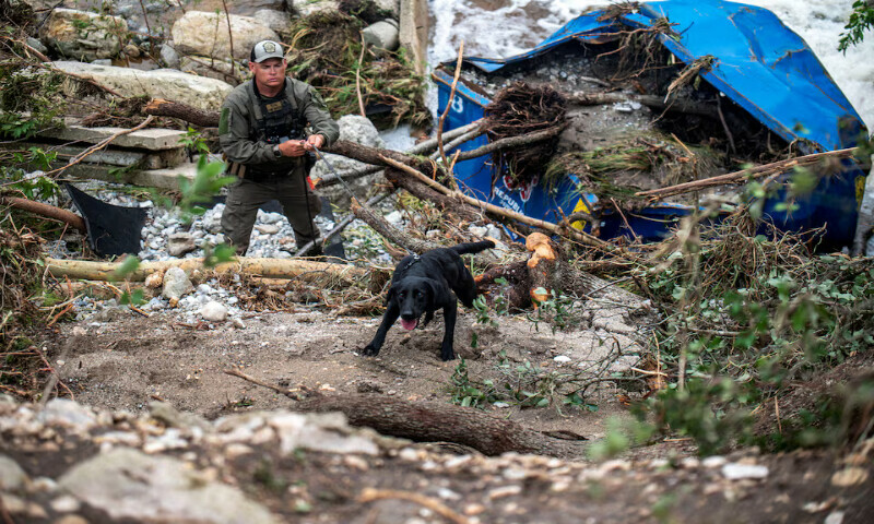 A search dog operates at Camp Mystic after deadly flooding in Kerr County, Texas. – Reuters