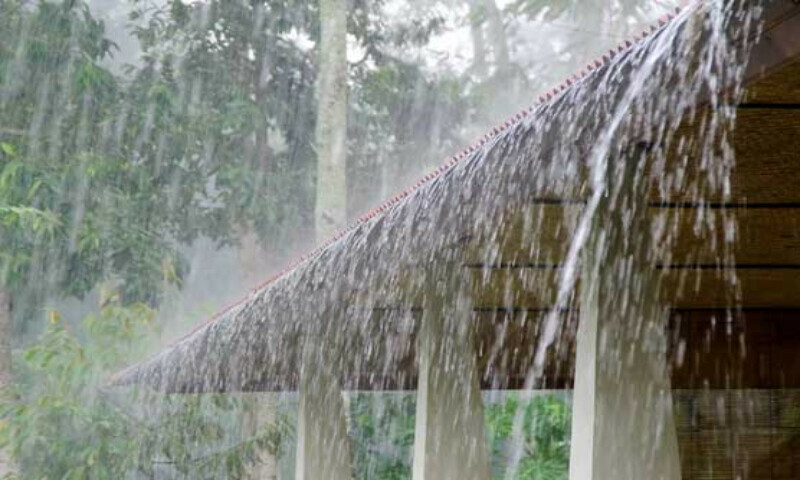 فائل فوٹیج فائل فوٹیج