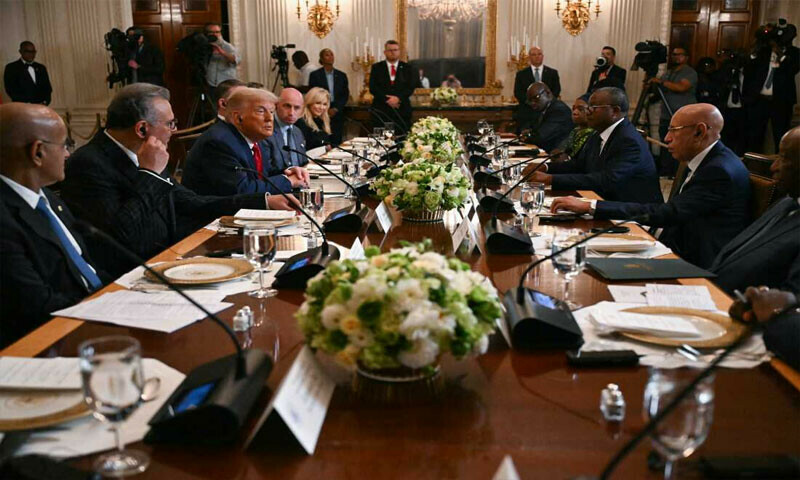 ’ایڈ سے ٹریڈ‘ کا سفر: افریقی رہنماؤں کی ٹرمپ سے اہم تجارتی و اقتصادی ملاقات