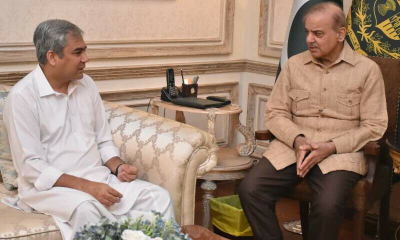 زائرین کو بہ ذریعہ سڑک عراق اور ایران جانے کی اجازت نہیں، محسن نقوی