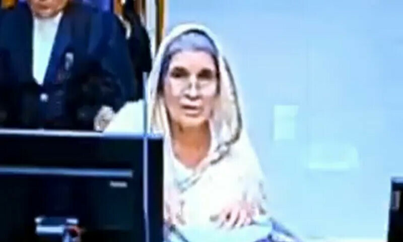 بھارت میں خاتون پروفیسر کی شوہر کے قتل کے الزام میں عمر قید کی سزا برقرار