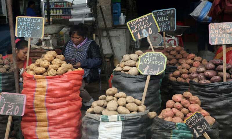 A woman sells potatoes at La Parada market in La Victoria district of Lima, Peru. – Reuters file A woman sells potatoes at La Parada market in La Victoria district of Lima, Peru. – Reuters file