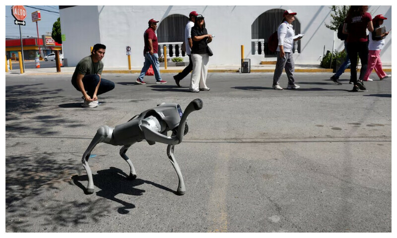 Waldog, a robotic dog used by Mexican Senator Waldo Fernandez as a tool to raise awareness about animal adoption and abuse greets people during a street tour, in Guadalupe, Mexico, August 8, 2025. REUTERS Waldog, a robotic dog used by Mexican Senator Waldo Fernandez as a tool to raise awareness about animal adoption and abuse greets people during a street tour, in Guadalupe, Mexico, August 8, 2025. REUTERS