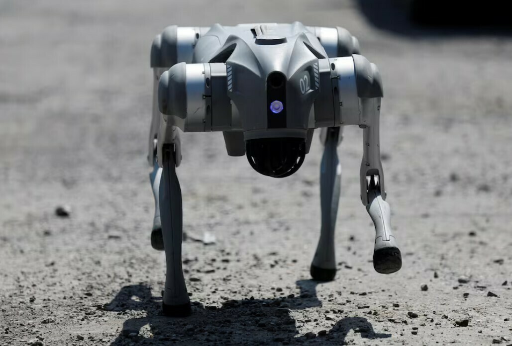 Waldog, a robotic dog used by Mexican Senator Waldo Fernandez as a tool to raise awareness about animal adoption and abuse, walks during a street tour, in Guadalupe, Mexico, August 8, 2025. REUTERS Waldog, a robotic dog used by Mexican Senator Waldo Fernandez as a tool to raise awareness about animal adoption and abuse, walks during a street tour, in Guadalupe, Mexico, August 8, 2025. REUTERS