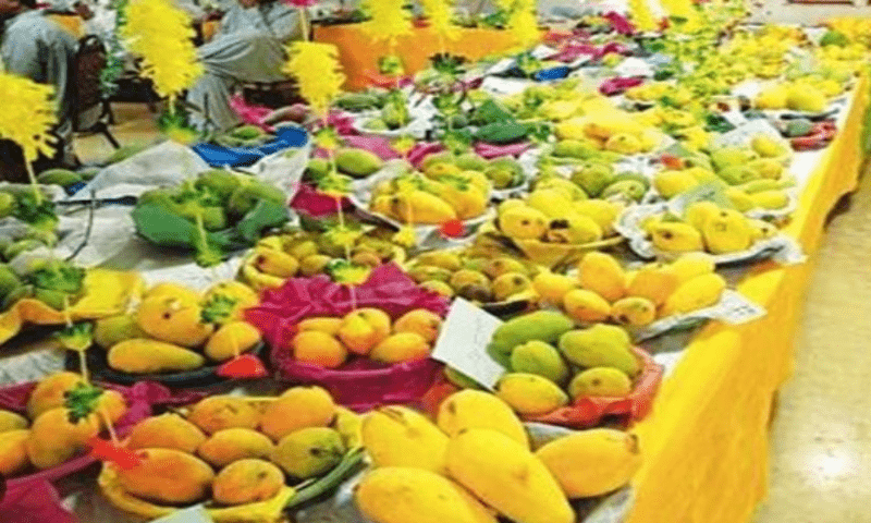 Pakistani mangoes on display at a festival in Beijing. APP Pakistani mangoes on display at a festival in Beijing. APP