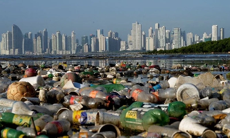 Plastic polluting a mangrove area lies in Panama Bay, Panama City, Panama December 6, 2024. — Reuters Plastic polluting a mangrove area lies in Panama Bay, Panama City, Panama December 6, 2024. — Reuters