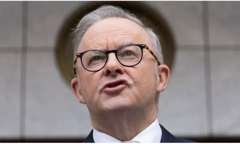 The dictionary cited Australian Prime Minister Anthony Albanese’s use of the phrase ‘delulu with no solulu’ © MIKE BOWERS / AFP/File