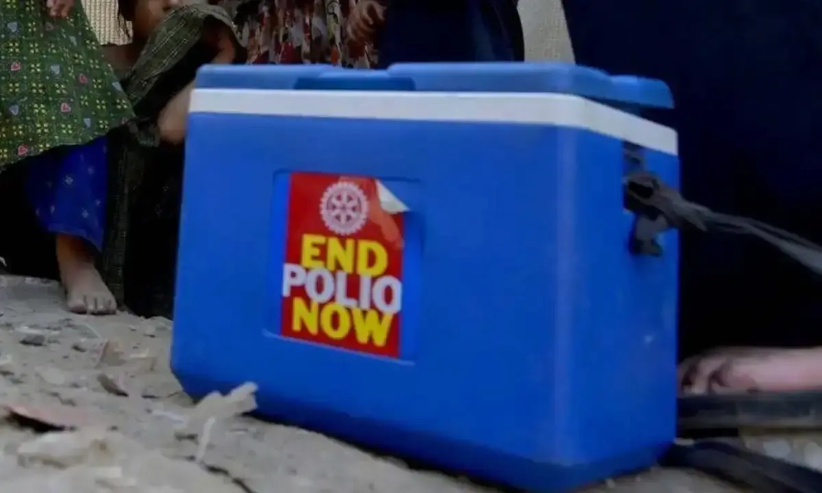 This picture shows the bag carrying the anti-polio vaccines. File photo This picture shows the bag carrying the anti-polio vaccines. File photo