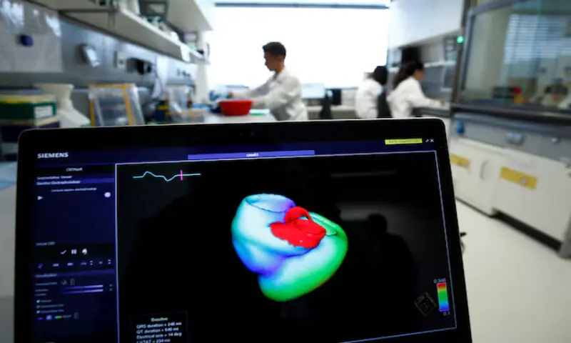 A monitor shows a three-dimensional image of a human heart at the Klaus-Tschira-Institute for Integrative Computational Cardiology in Heidelberg, Germany. – Reuters A monitor shows a three-dimensional image of a human heart at the Klaus-Tschira-Institute for Integrative Computational Cardiology in Heidelberg, Germany. – Reuters