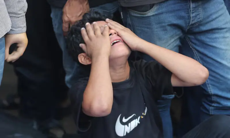 Israel is committing genocide in Gaza, says scholars’ association Israel is committing genocide in Gaza, says scholars’ association