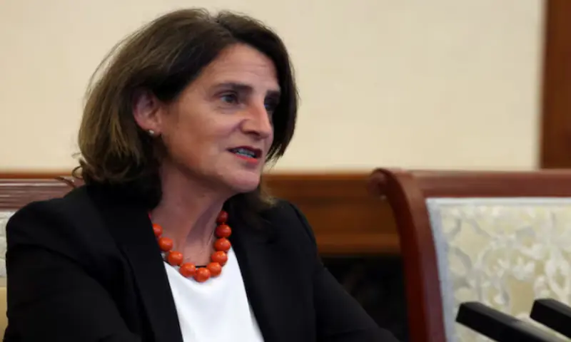 European Commission Executive Vice-President for a Clean, Just and Competitive Transition, Teresa Ribera. Reuters file European Commission Executive Vice-President for a Clean, Just and Competitive Transition, Teresa Ribera. Reuters file