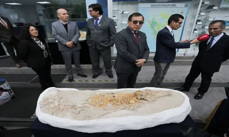 People stand near the fossilised skeleton of a small marine mammal estimated to be between eight and 12 million years old, in Lima, Peru. – Reuters People stand near the fossilised skeleton of a small marine mammal estimated to be between eight and 12 million years old, in Lima, Peru. – Reuters