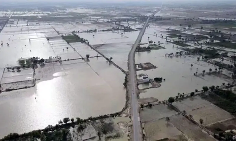راوی، ستلج، چناب میں سیلاب کے باعث جانی و مالی نقصانات کی رپورٹ جاری