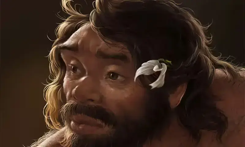 This artist’s impression shows the head of an adult male individual who lived roughly 1 million years ago in China’s Hubei Province, based on the digital reconstruction of a fossilized archaic human skull, called Yunxian 2 in this image released on September 25, 2025. Jiannan Bai and Xijun Ni/Handout via REUTERS This artist’s impression shows the head of an adult male individual who lived roughly 1 million years ago in China’s Hubei Province, based on the digital reconstruction of a fossilized archaic human skull, called Yunxian 2 in this image released on September 25, 2025. Jiannan Bai and Xijun Ni/Handout via REUTERS