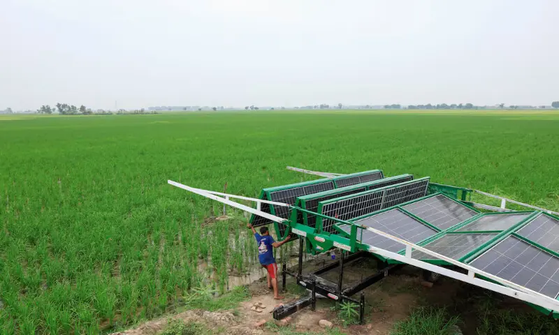 A worker installs a folding solar panel unit to run a tube well, the motorised pump that taps groundwater, in a rice field in Muridke, Sheikhupura District in Punjab province. – Reuters A worker installs a folding solar panel unit to run a tube well, the motorised pump that taps groundwater, in a rice field in Muridke, Sheikhupura District in Punjab province. – Reuters