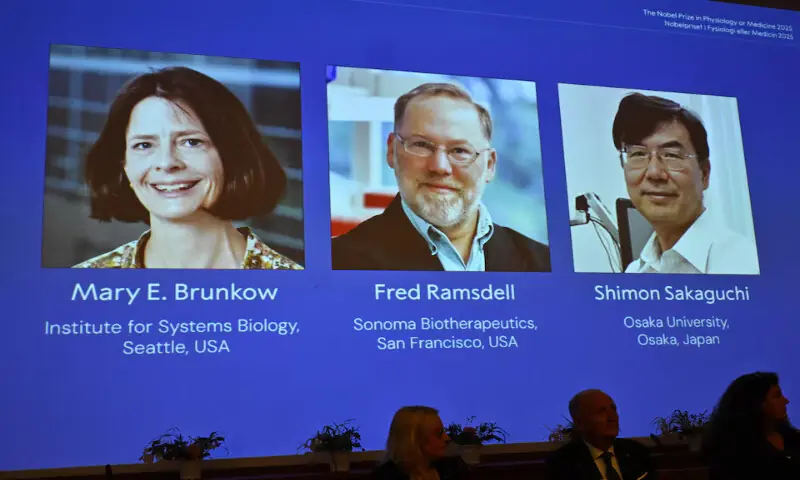 Mary E Brunkow, Fred Ramsdell and Shimon Sakaguchi are awarded this year’s Nobel Prize in Medicine or Physiology. – Reuters Mary E Brunkow, Fred Ramsdell and Shimon Sakaguchi are awarded this year’s Nobel Prize in Medicine or Physiology. – Reuters