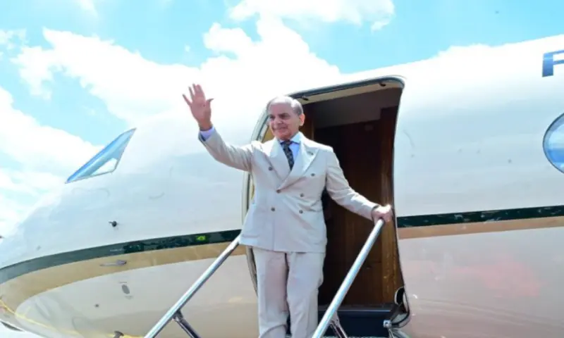 Prime Minister Shehbaz Sharif. APP Prime Minister Shehbaz Sharif. APP