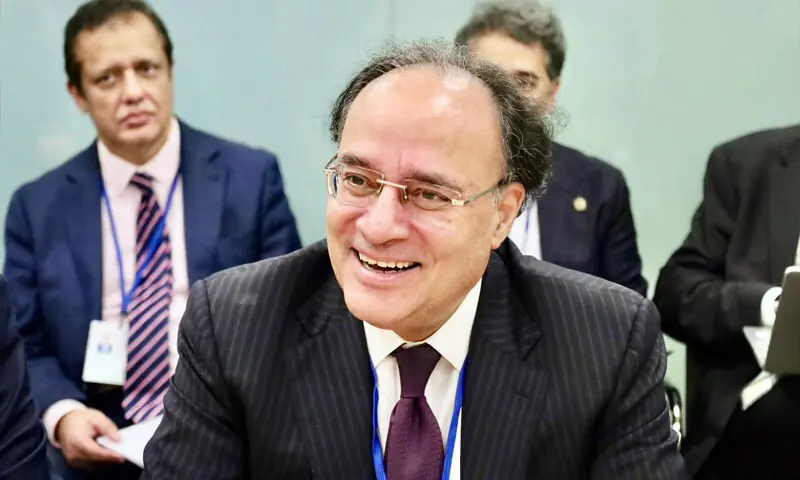 پاکستان کو دسمبر تک 1.2 ارب ڈالر کی آئی ایم ایف قسط ملنے کی توقع ہے، وزیر خزانہ