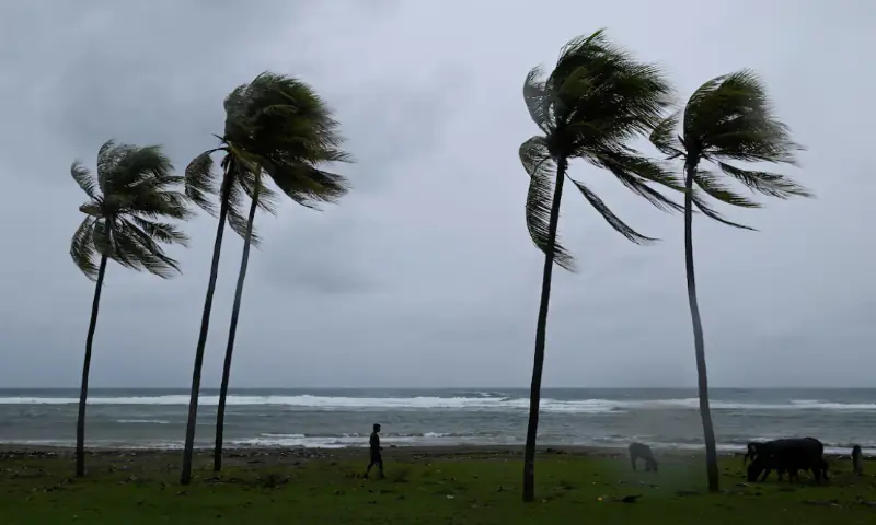 A man herds cattle along the coastline ahead of Hurricane Melissa’s landfall, in Santiago de Cuba, Cuba, October 28, 2025//REUTERS A man herds cattle along the coastline ahead of Hurricane Melissa’s landfall, in Santiago de Cuba, Cuba, October 28, 2025//REUTERS