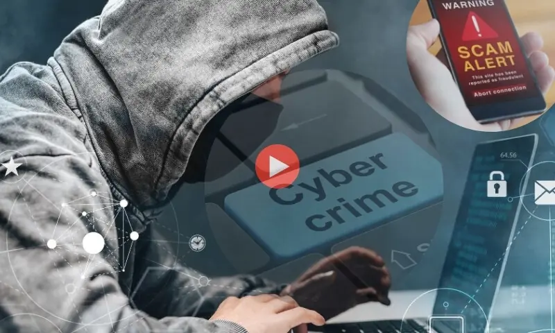 جعلی ای چالان: سائبر کرمنلز سے کیسے بچیں؟