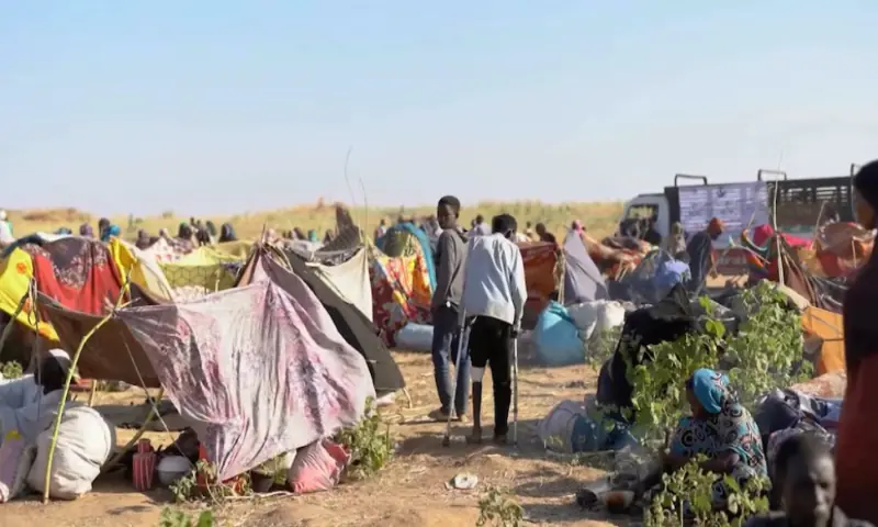 Displaced Sudanese gather and sit in makeshift tents after fleeing al-Fashir city in Darfur, in Tawila, on October 29, 2025, in this still image taken from a Reuters video. Reuters Displaced Sudanese gather and sit in makeshift tents after fleeing al-Fashir city in Darfur, in Tawila, on October 29, 2025, in this still image taken from a Reuters video. Reuters