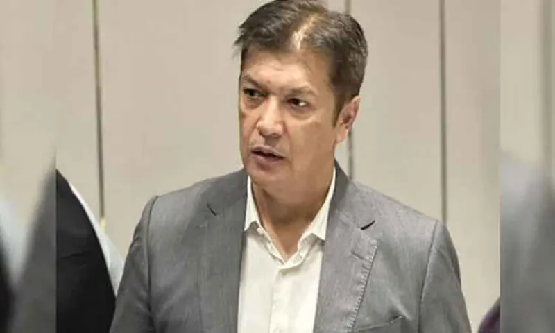 S M Tanveer Urges District Empowerment For Growth Pakistan Aaj 
