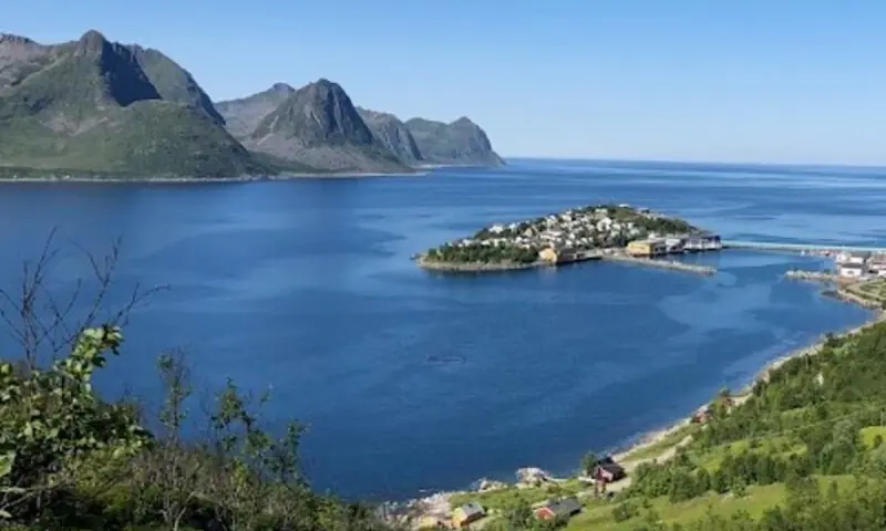 تصویر بشکریہ/ ہندوستان ڈاٹ کام