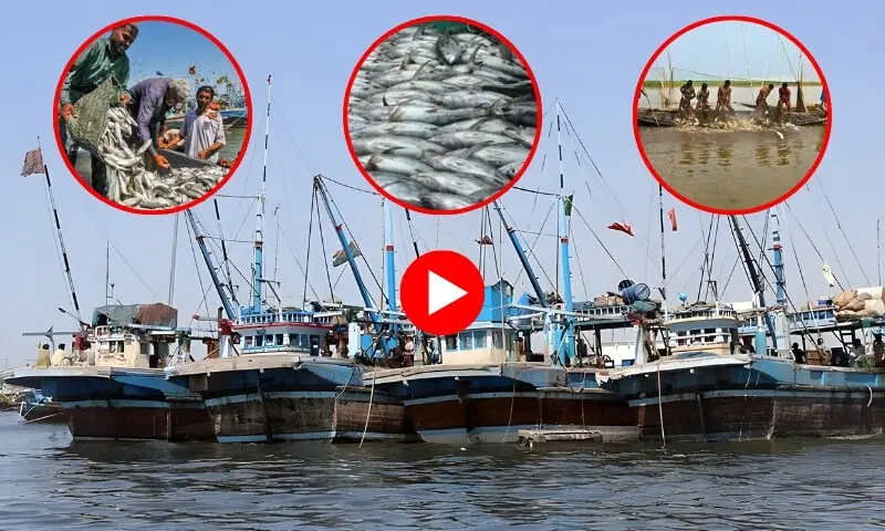 ٹھٹھہ میں کینجھر جھیل کا ماہی گیری کے فروغ میں اہم کردار