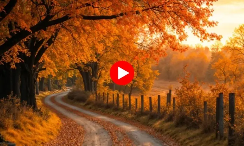 ملکہ کوہسار مری میں پت جھڑ کے رنگ