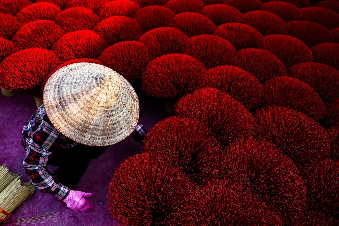 ویتنام کے شہر ہنوئی کے باہری گاؤں کوانگ فو کاؤ میں 20 جنوری کو ایک مزدور چینی قمری سال نو کی تقریبات سے پہلے صحن میں دھوپ بتیوں کو خشک کرنے کے لیے ترتیب دے رہا ہے۔ ویتنام کے شہر ہنوئی کے باہری گاؤں کوانگ فو کاؤ میں 20 جنوری کو ایک مزدور چینی قمری سال نو کی تقریبات سے پہلے صحن میں دھوپ بتیوں کو خشک کرنے کے لیے ترتیب دے رہا ہے۔